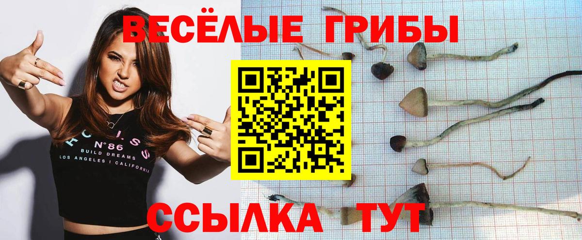 Галлюциногенные грибы мицелий Екатеринбург