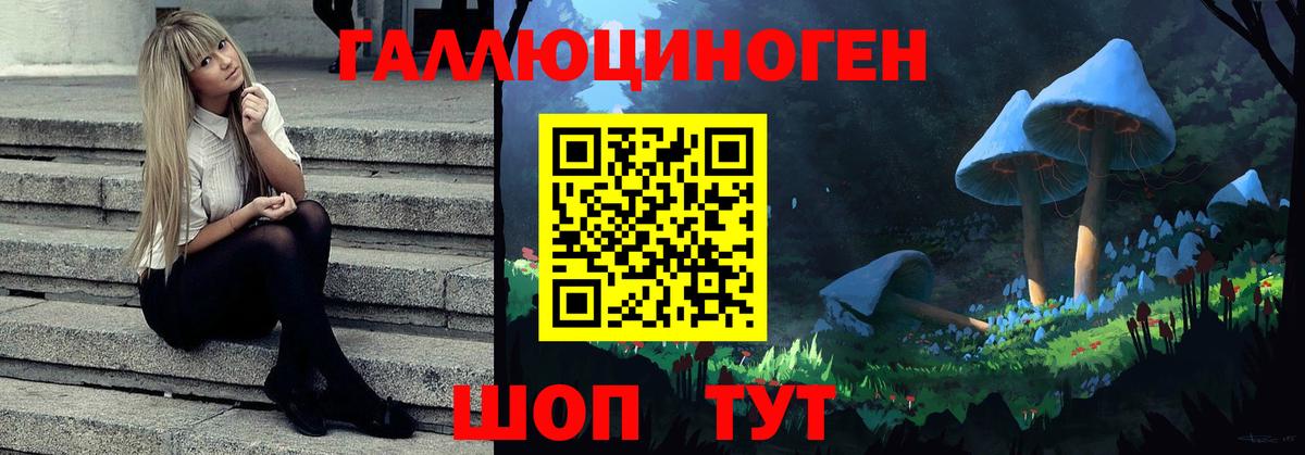 даркнет сайт  Псилоцибиновые грибы мицелий  Вход с VPN  Екатеринбург 